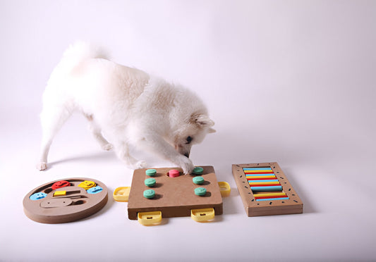 Benefits of dog Treat Dispensing Puzzle Toys