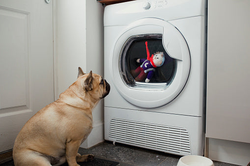 How to Wash Dog Toys