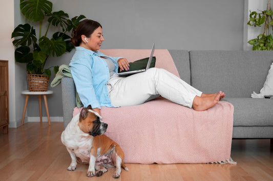 The New Trend in Dog Products: Innovations That Make Life Easier for Pet Owners
