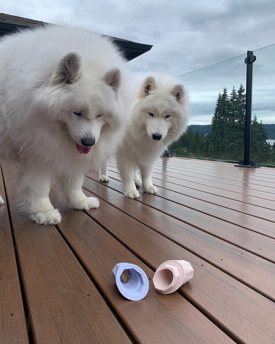 The Ubbe - Treat Filler Chew Toy Made for Dogs & Puppies By: Up Dog Toys