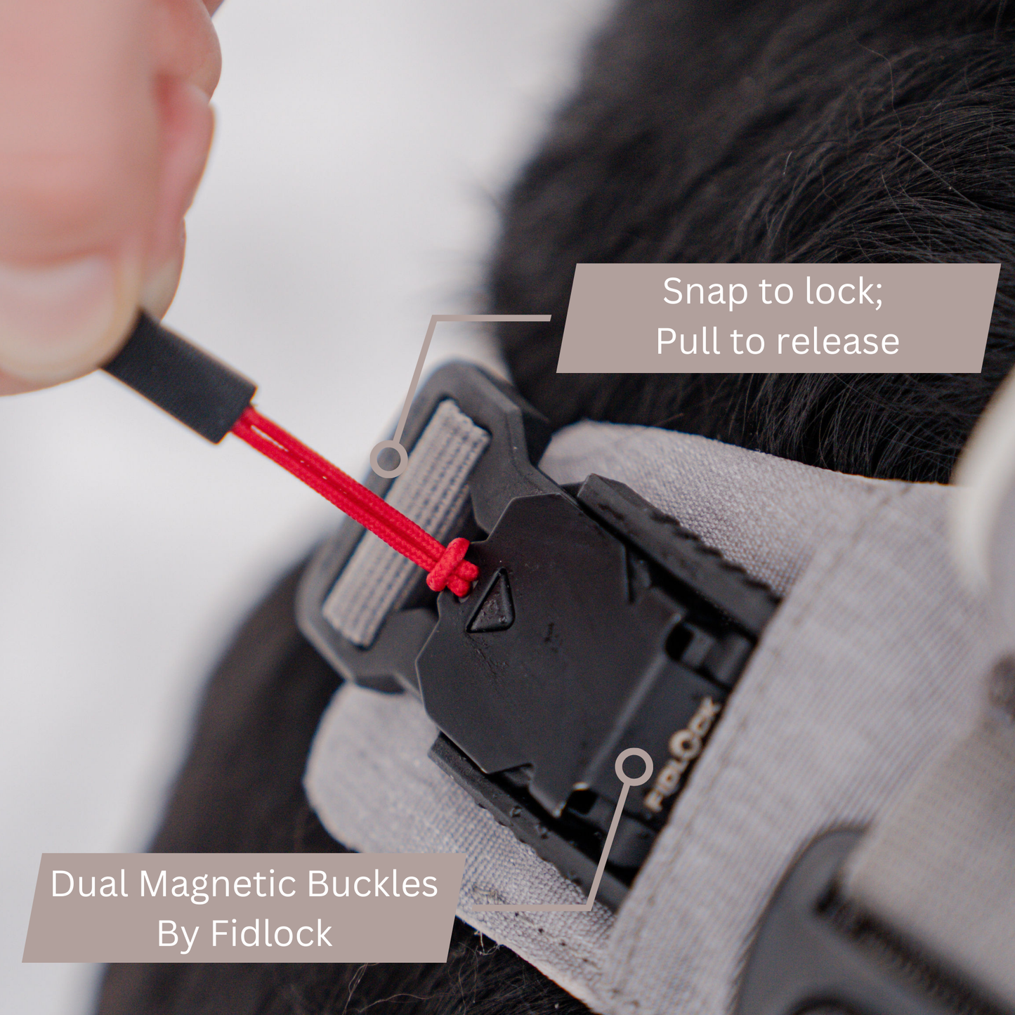 Quick-release dog harness with magnetic buckles for effortless wear by Up Dog Shop