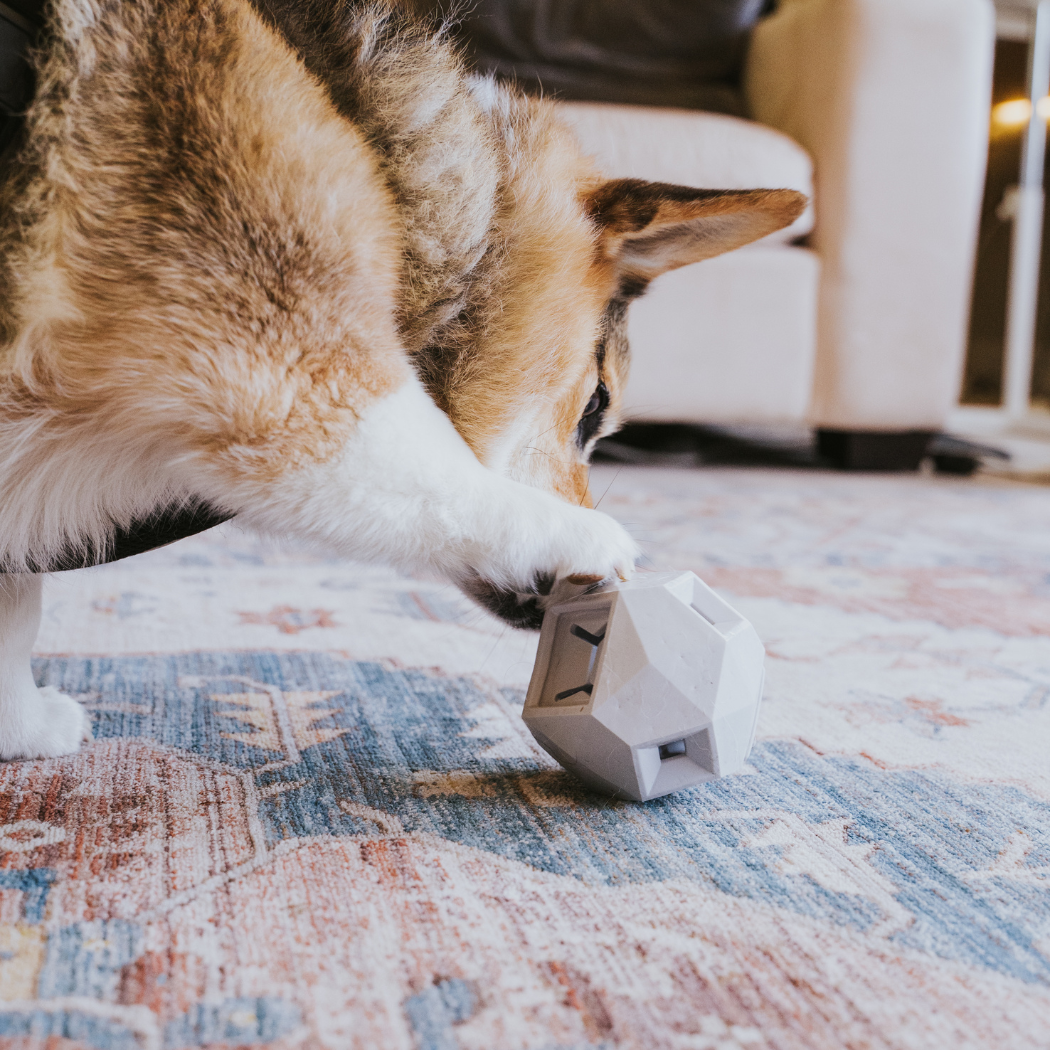 Puzzle treat ball for dogs used as a slow feeder By: Up Dog Shop