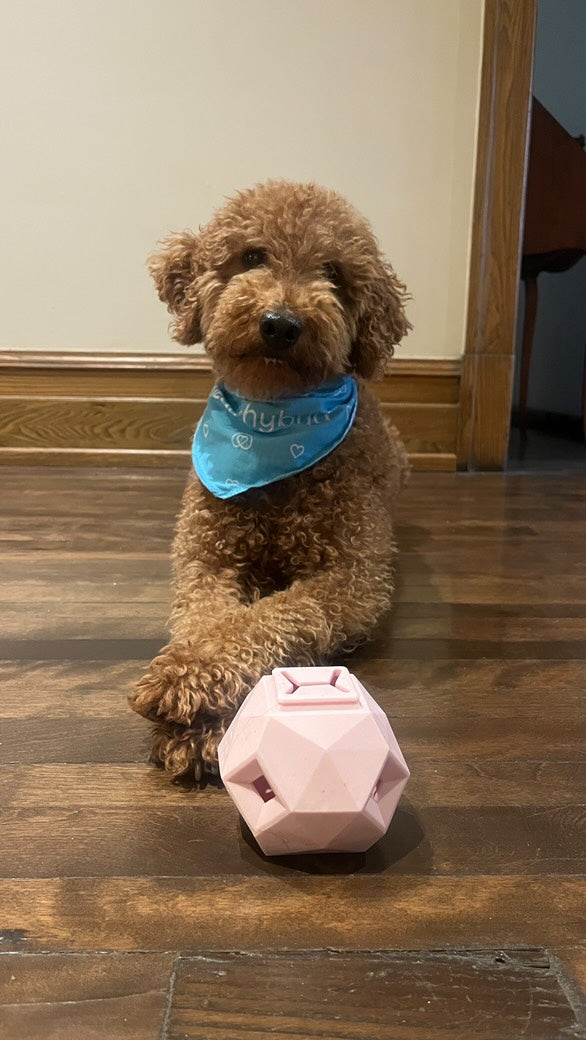 food dispensing puzzle toy for dogs by Up Dog Shop
