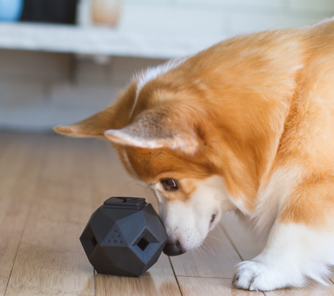 The Odin - Modern Interactive Treat Dispensing Puzzle Toy For Dogs and Puppies By: Up Dog Toys