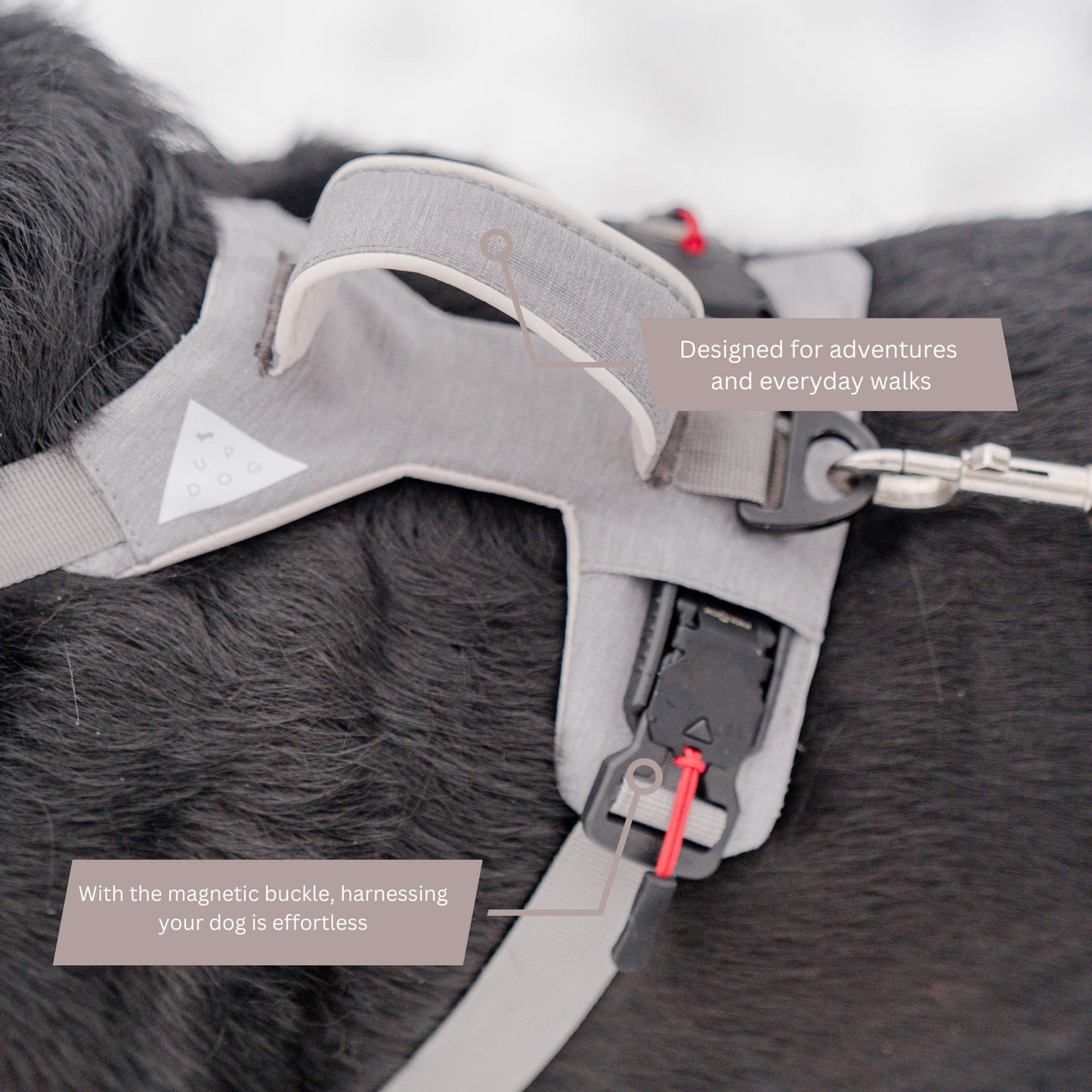 No-pull dog harness with adjustable straps for a secure fit by Up Dog Shop