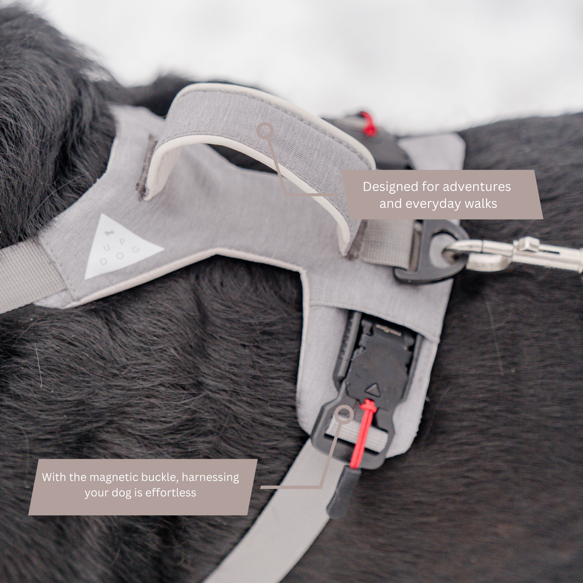 No-pull dog harness with adjustable straps for a secure fit by Up Dog Shop