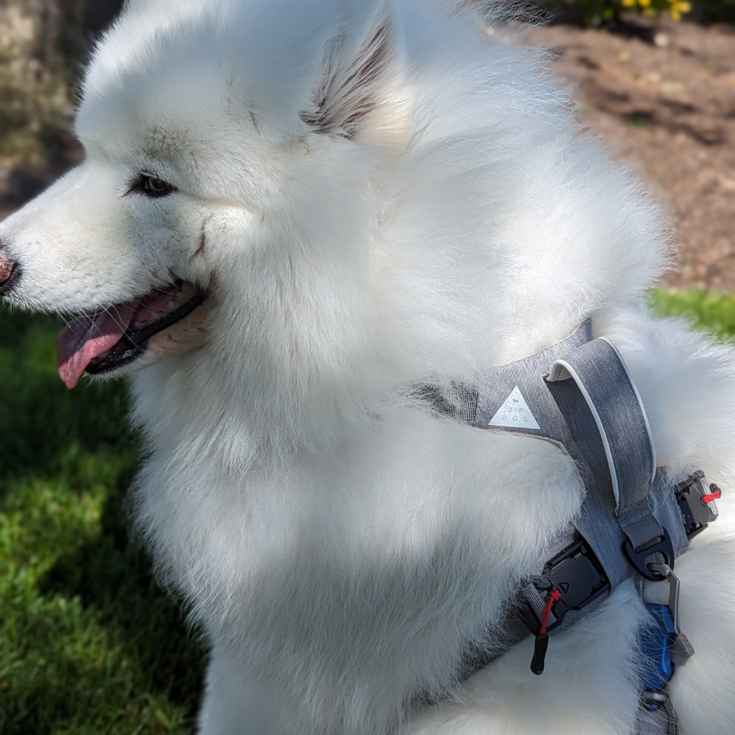 Durable and stylish dog harness with a secure magnetic clasp by Up Dog Shop