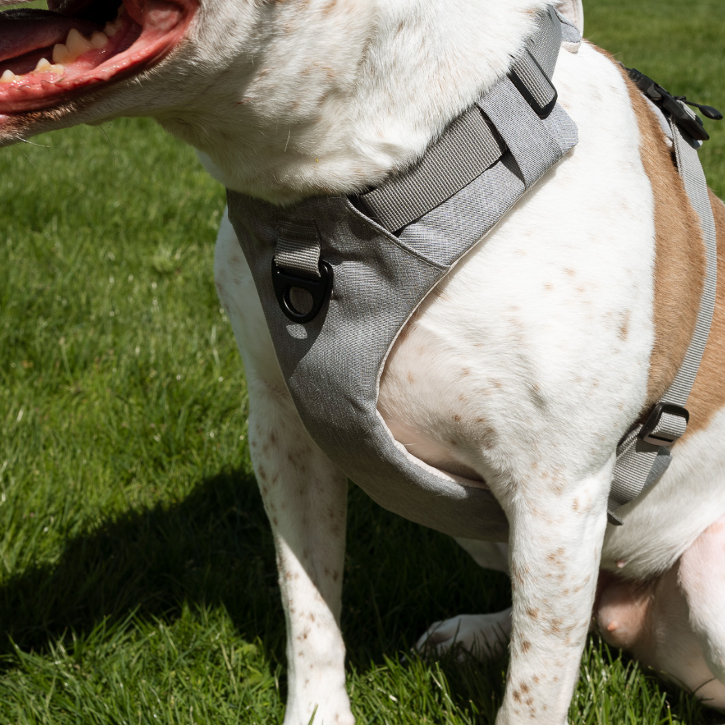 Premium designer dog harness for a comfortable and safe fit by Up Dog Shop