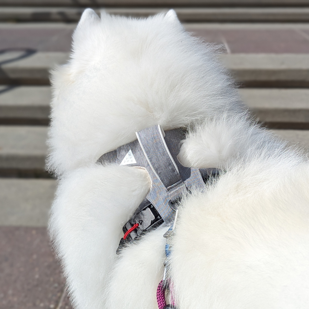Designer dog harness in a sleek, stylish design for comfort and control by Up Dog Shop