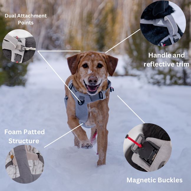 High quality magnetic dog harness for small, medium, and large dogs by Up Dog Shop