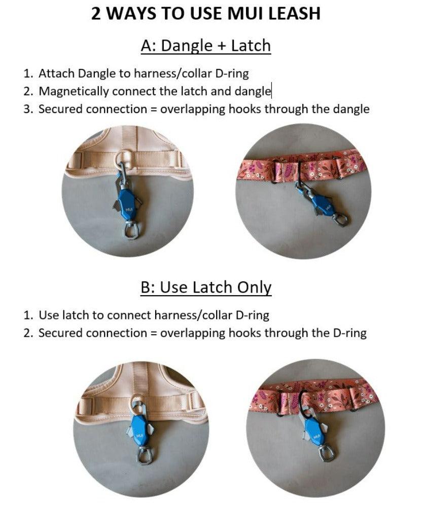 How to use magnetic dog leash