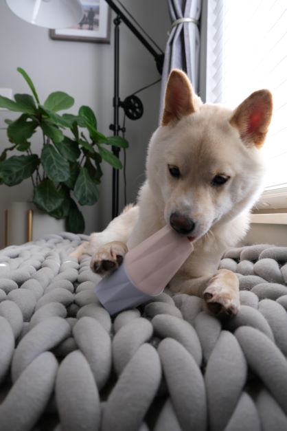 The Ubbe - Treat Filler Modern Chew Toy Made for Dogs & Puppies By: Up Dog Toys