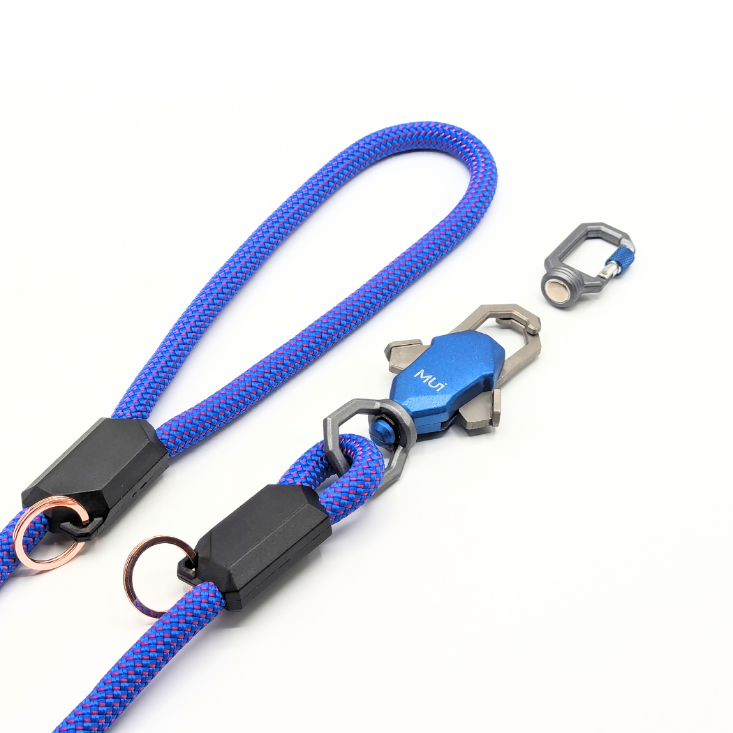 Stylish dog leash for modern, active dogs