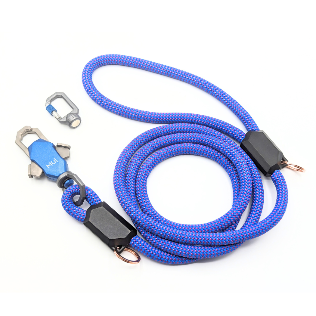 Designer dog leash with secure magnetic closure