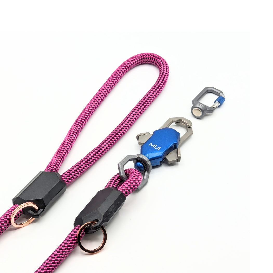 Magnetic dog leash with quick release clasp