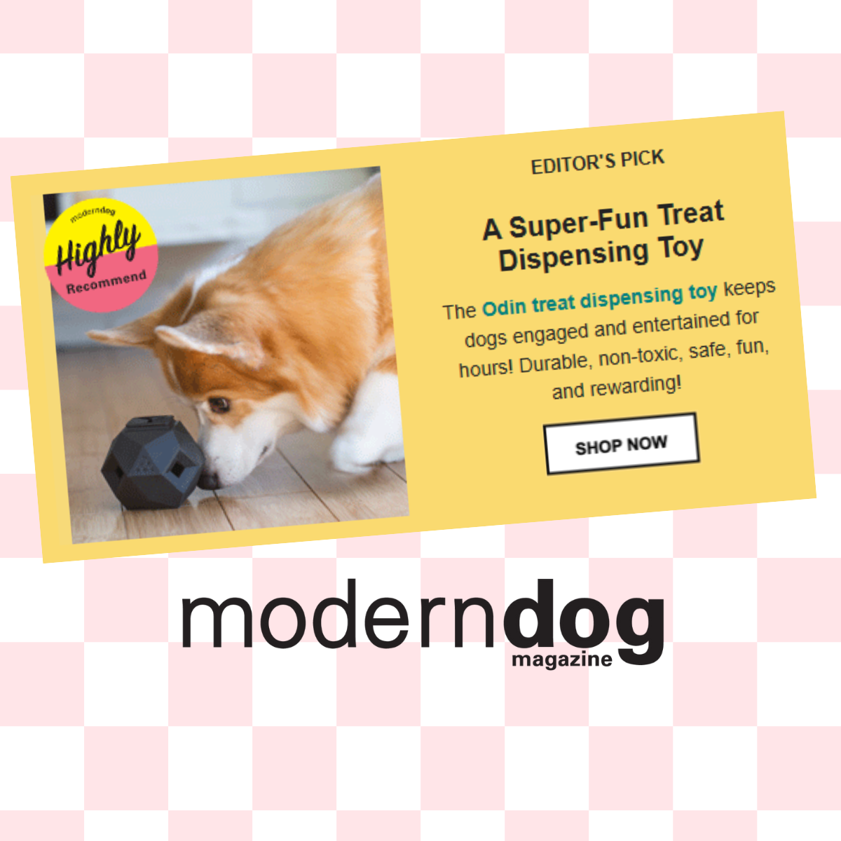 The Odin Puzzle Toy selected as Editor's Pick by Modern Dog Magazine