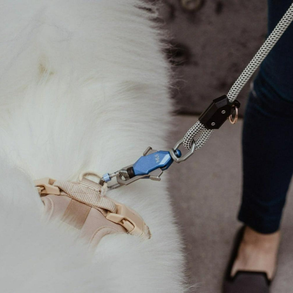 Close up picture of Up Dog Magnetic Leash connected to a dog harness
