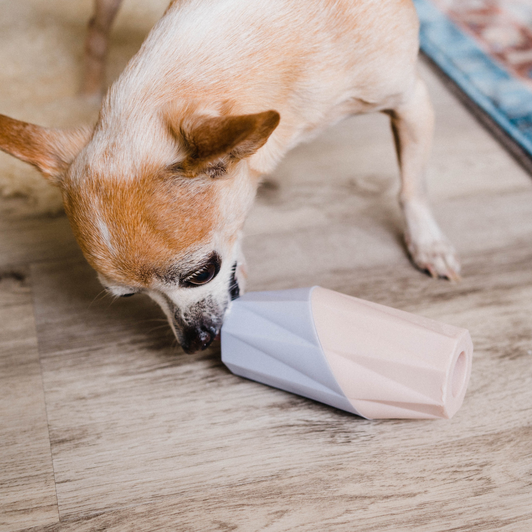 Small dog interacting modern licking toy by Up Dog Shop on a wooden floor