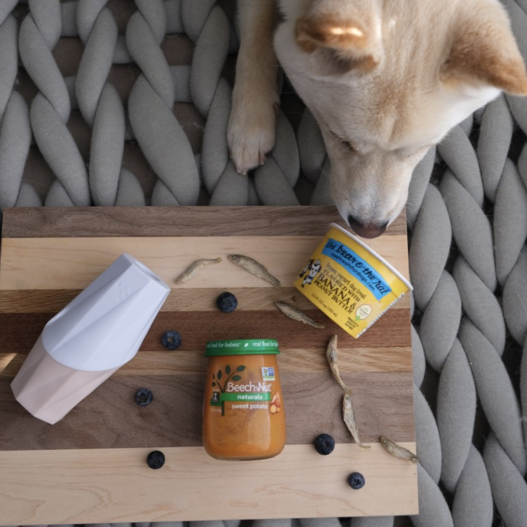 Dog sniffing food and treats to be stuffed inside the Ubbe licking toy by Up Dog Shop