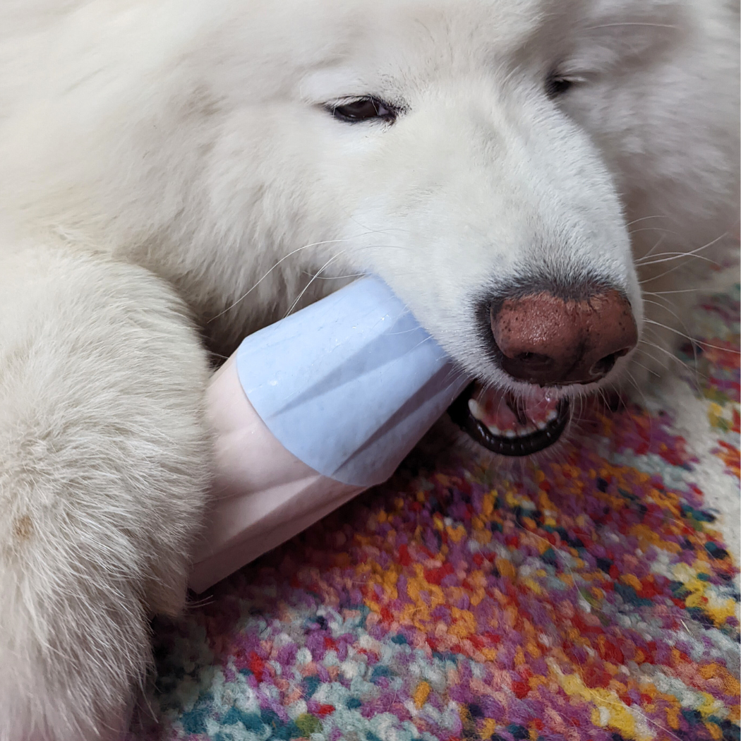 White dog licking the Ubbe modern dog licking toy by Up Dog Shop
