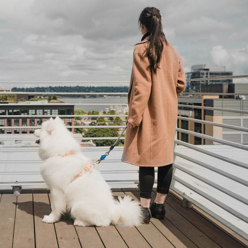 Woman in a tan coat with a white dog on Up Dog magnetic leash on a rooftop deck.