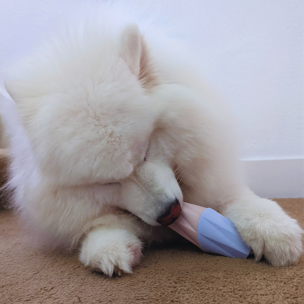White dog licking Ubbe modern interactive toy on a carpeted floor