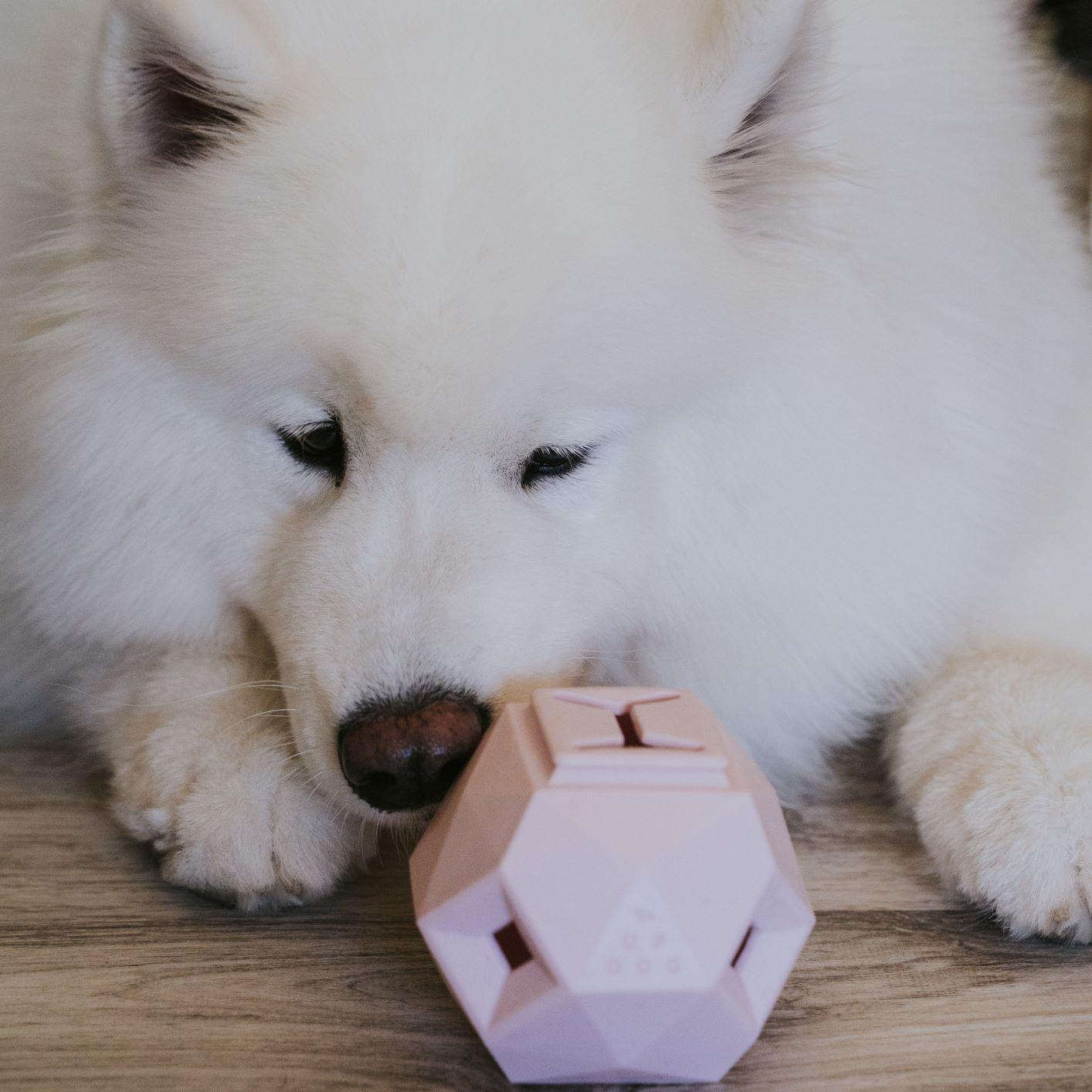 Puzzle treat ball for dogs used as a slow feeder By: Up Dog Toys