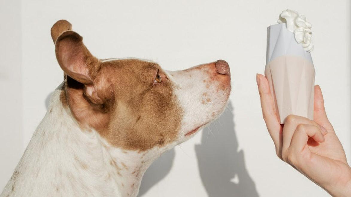 Toy for dogs who lick, perfect for treats and peanut butter By Up Dog Shop