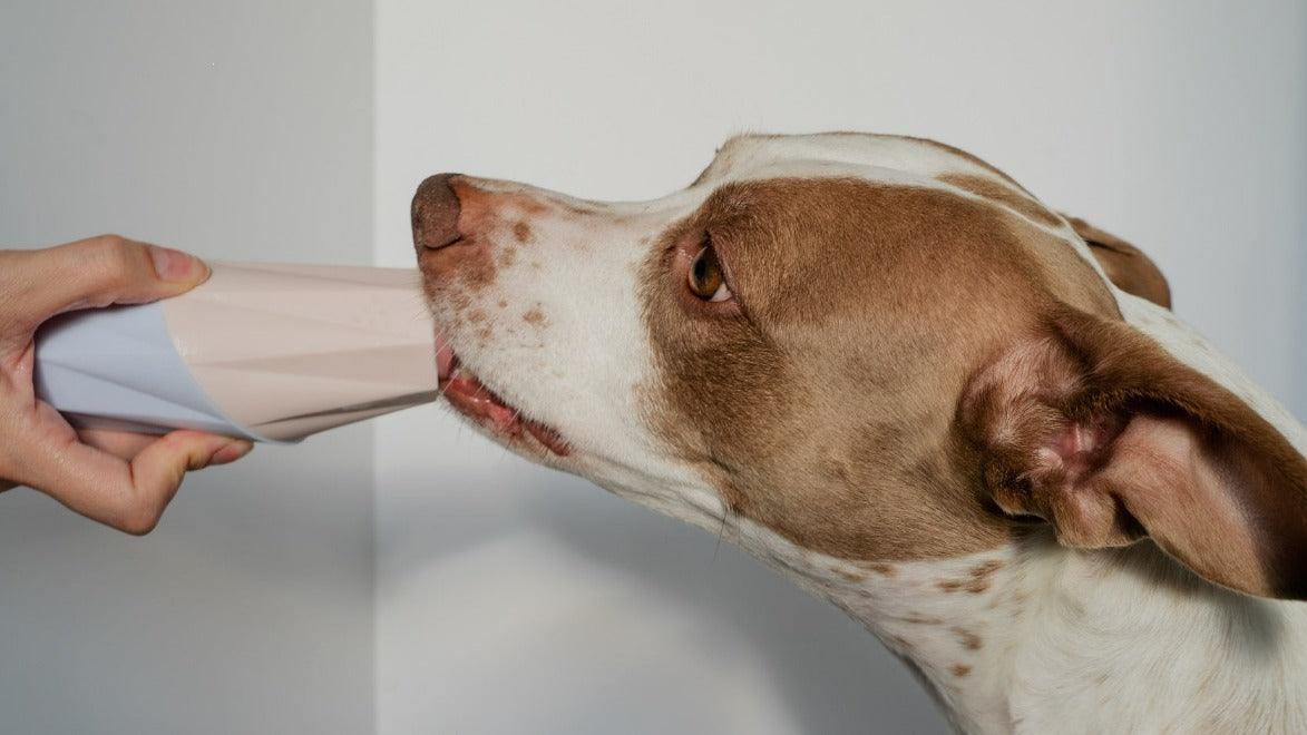 Toy for dogs who lick, designed for mental stimulation By Up Dog Shop