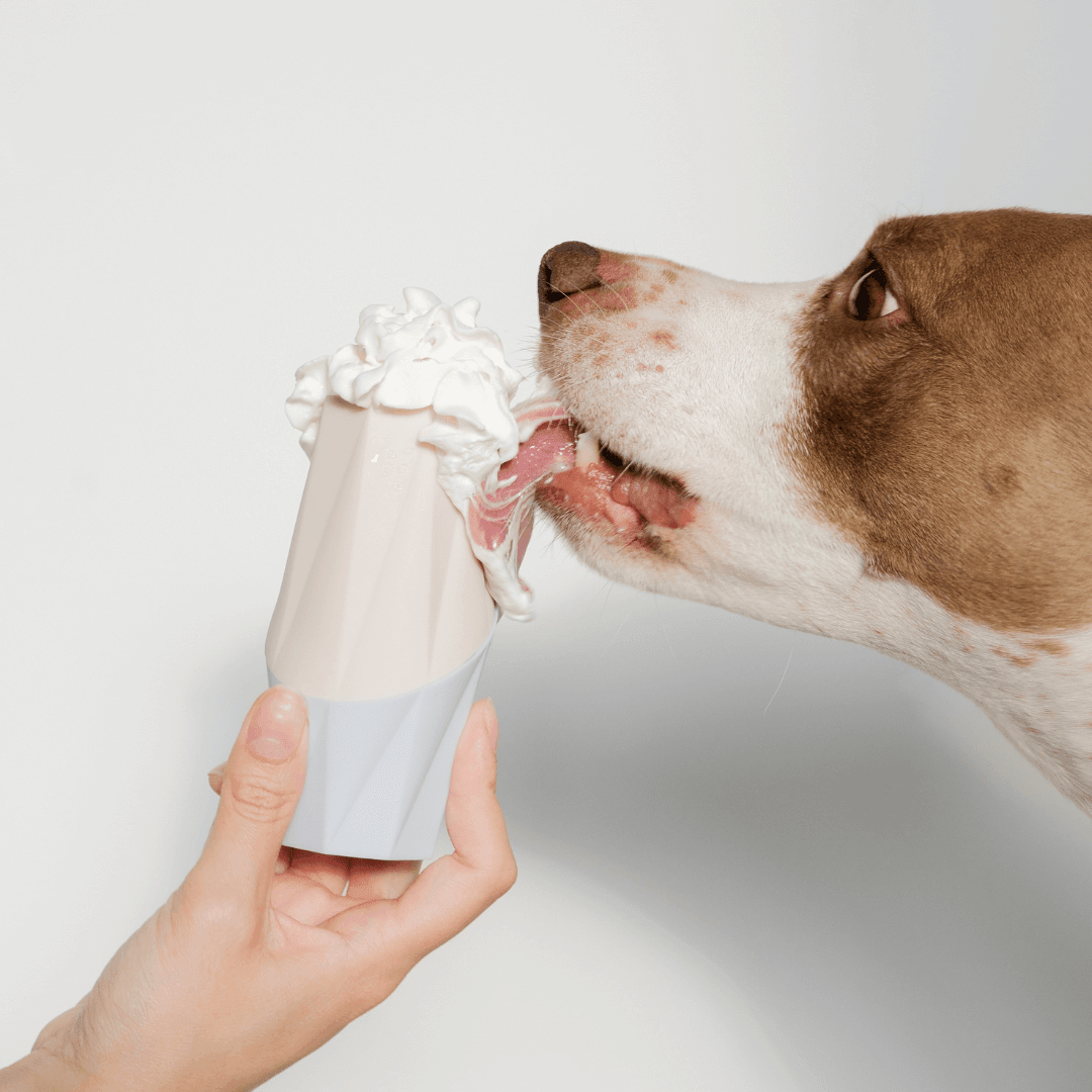 Ubbe Dog Licking Toy Best Chewable Toys for Puppies