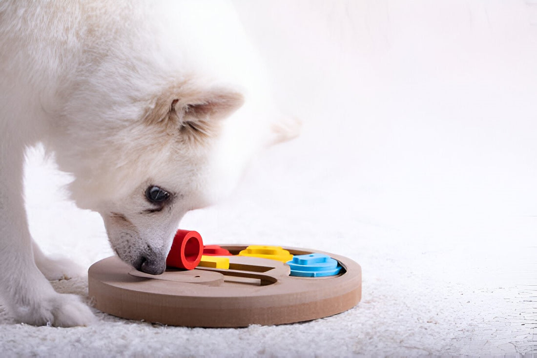 Are Puzzle Toys Good For Dogs