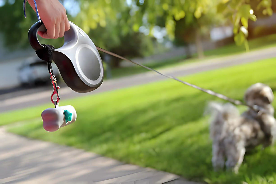 Retractable dog leash