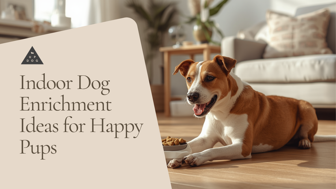 Dog playing with a modern enrichment toy indoors on a rainy day in a warm neutral living room.