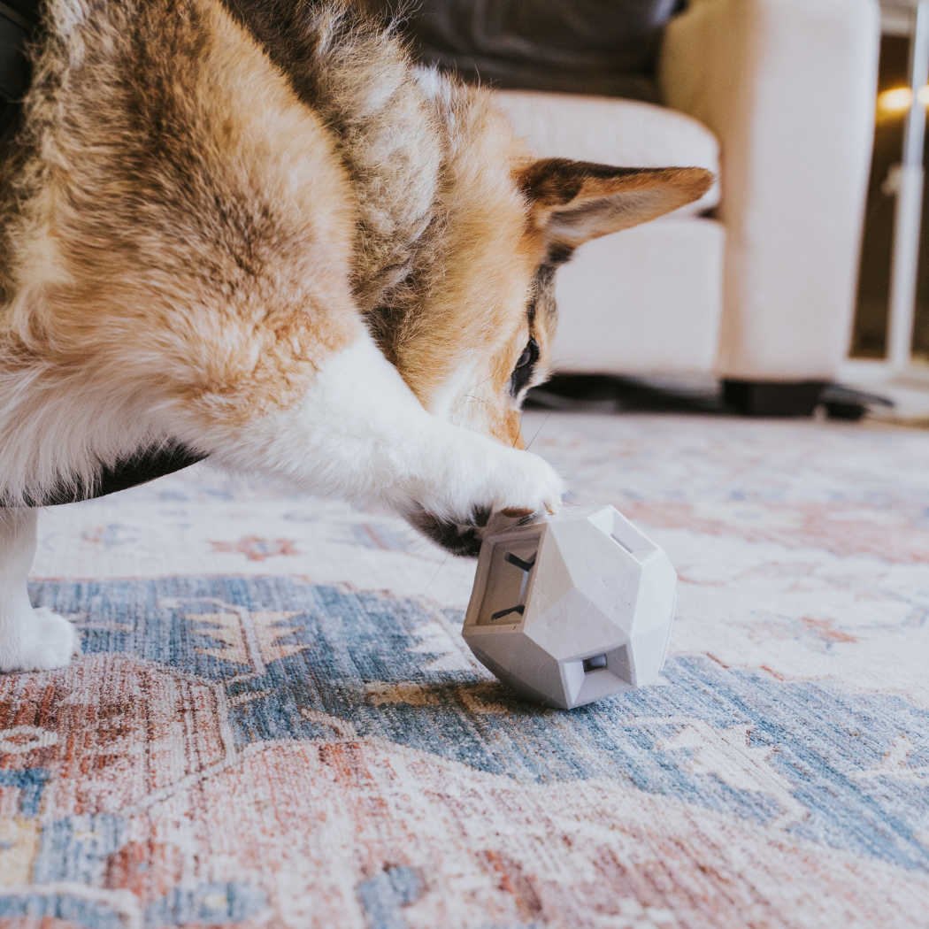 The Odin - Modern Interactive Treat Dispensing Puzzle Toy By: Up Dog Shop