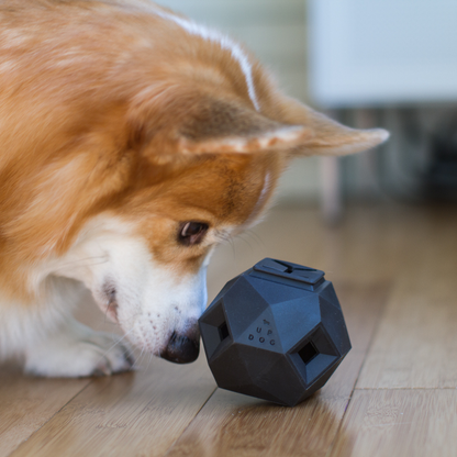 The Odin - Modern Interactive Treat Dispensing Puzzle Toy By: Up Dog Shop