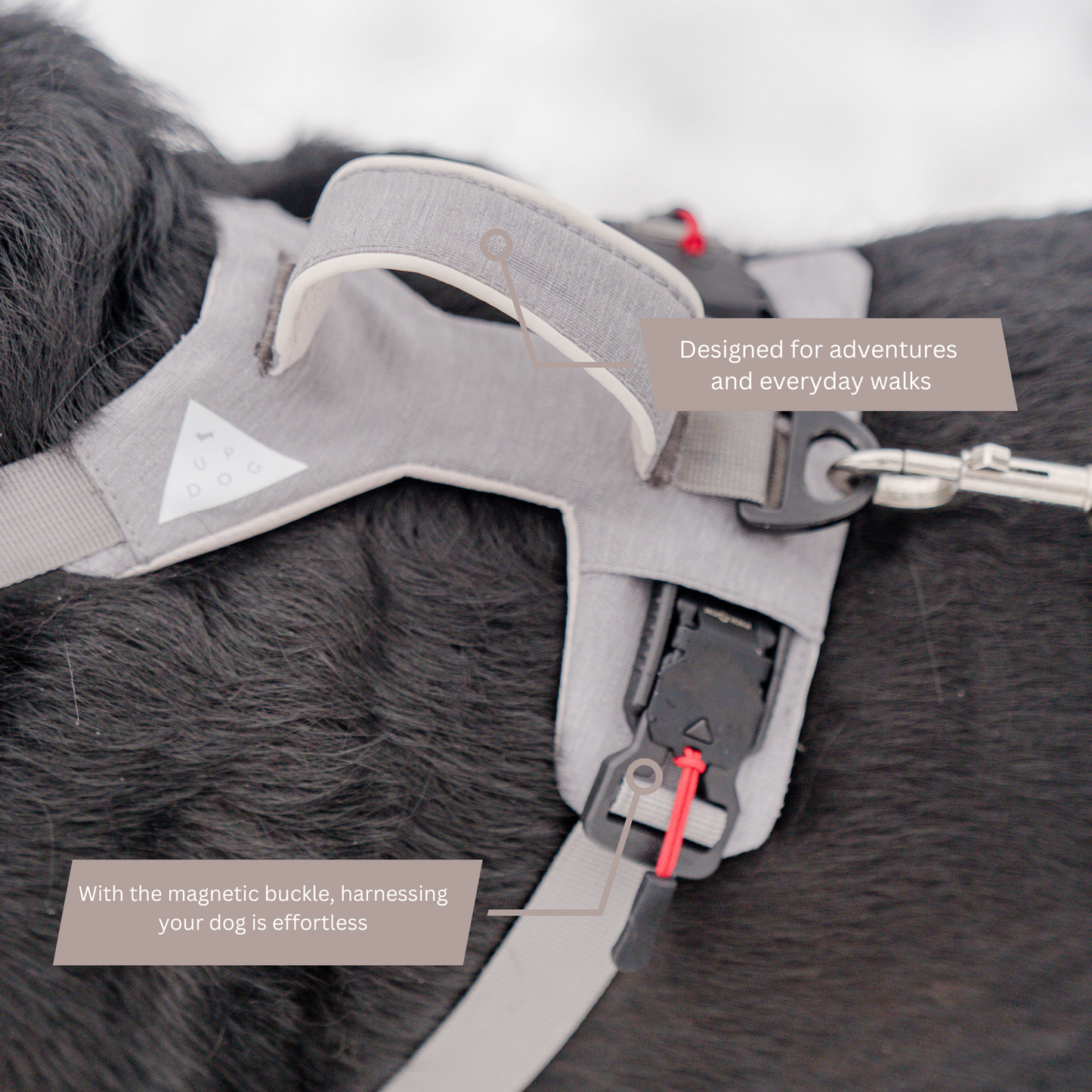 Magnetic Dog Harness