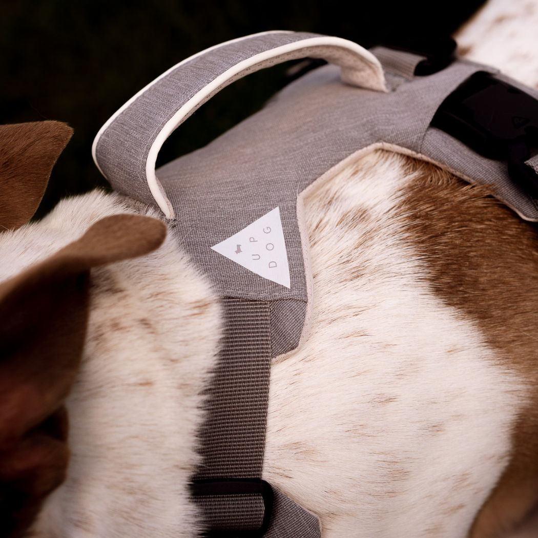 Indestructible dog harness