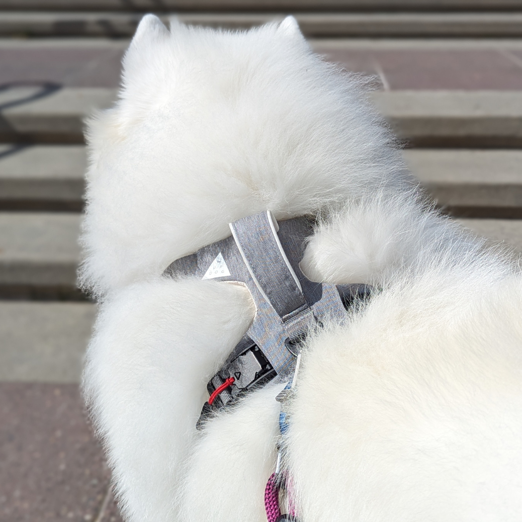 Breathable dog harness