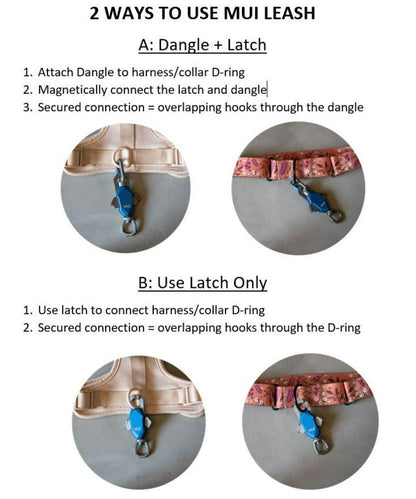 How to use magnetic rope dog leash