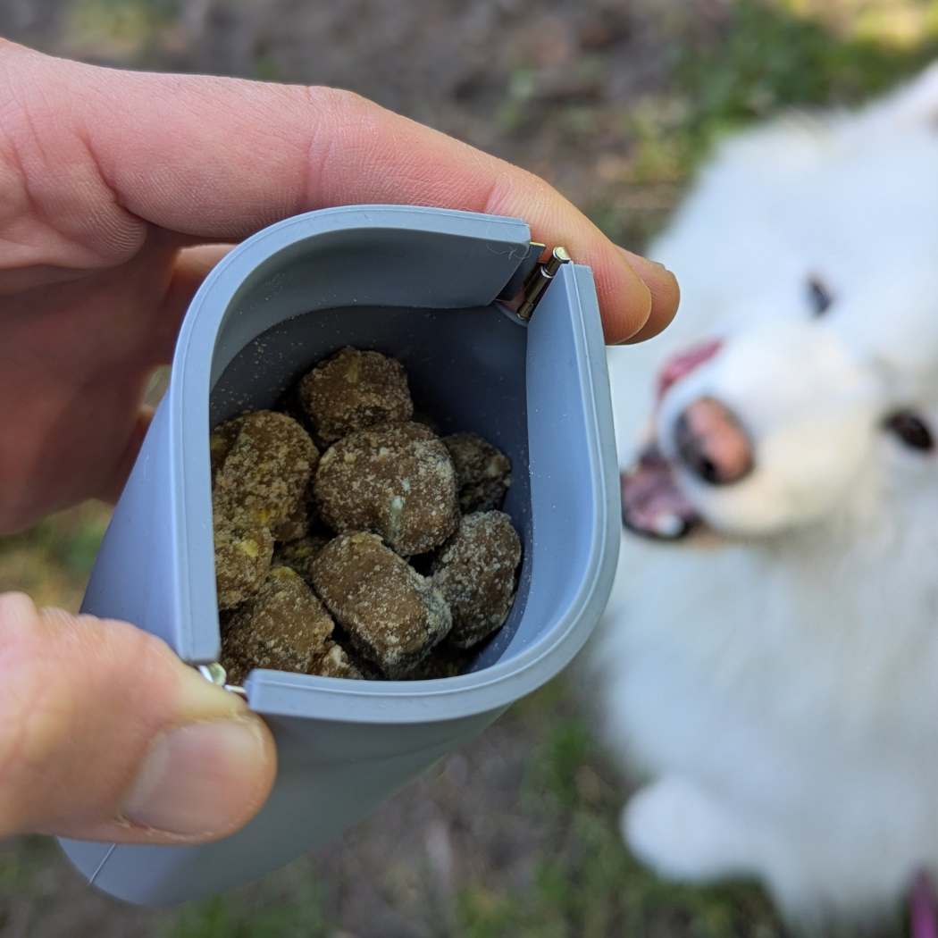 Person holding one-hand treat pouch full of dog treats with a blurred dog in the background