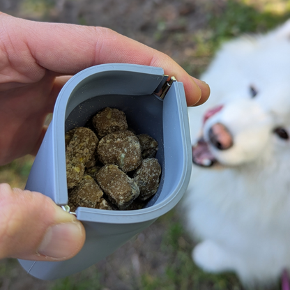 Person holding Up Dog One-hand treat pouch full of dog treats with a blurred dog in the background