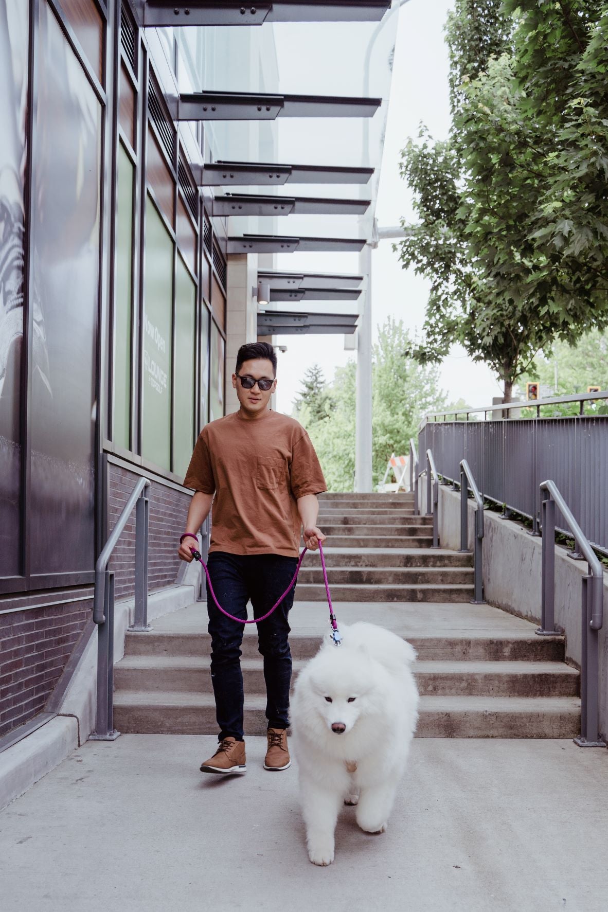Up Dog Shop Magnetic Dog Leash In use in urban setting