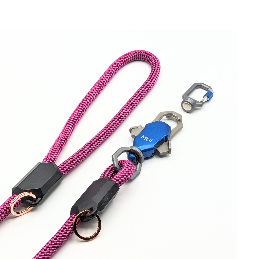 Dog leash rope