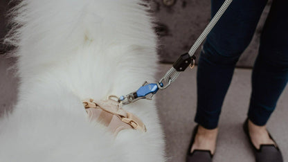 Magnetic Rope Dog Leash