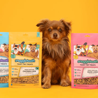 Up Dog X Snaggletooth Special Collab Bundle - Dog sitting behind three packages of Snaggletooth dog treats on a yellow background