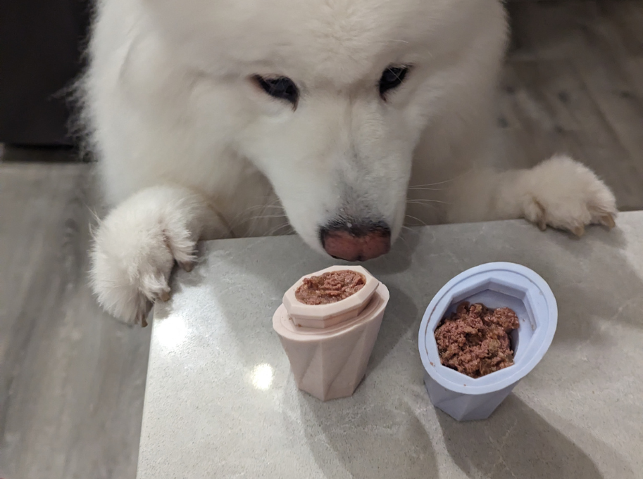 Dog Licking Toy filled with canned food by Up Dog Shop