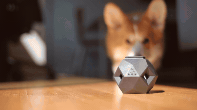 The Odin Dog puzzle treat dispenser by Up Dog Shop