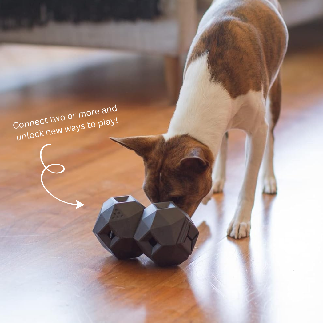 Dog playing with Up Dog Odin toy on a wooden floor.