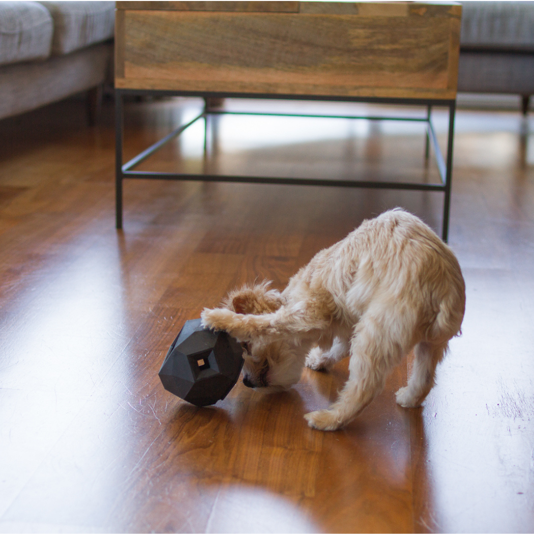 Dog playing with Up Dog puzzle dog toy on wooden floor in a living room.